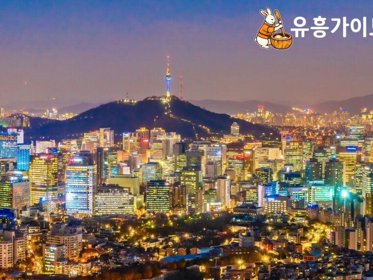 Image of Seoul City for the Nightlife experience